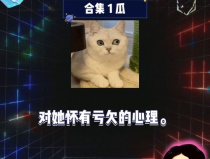 娱乐新闻吃瓜,揭秘明星们的最新八卦事件