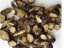 中国中药材,传承千年药效，助力现代健康之路