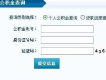 公积金查询,轻松掌握账户明细与提取条件”