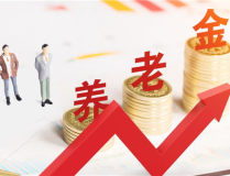 2020年基本养老金,政策解读与影响分析