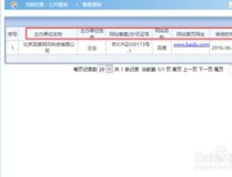 查询域名是否备案,全方位查询指南